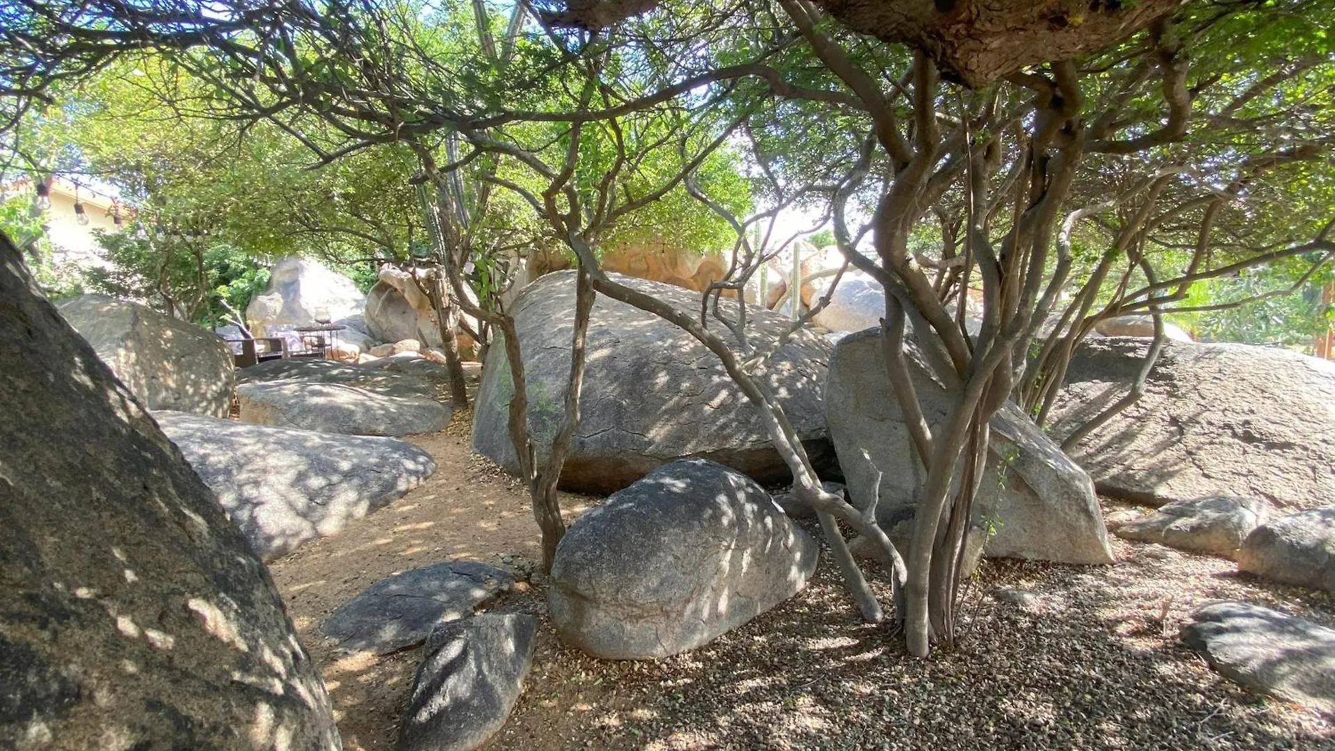 Apartman Pura Vida Aruba Appartement Cadushi Noord
