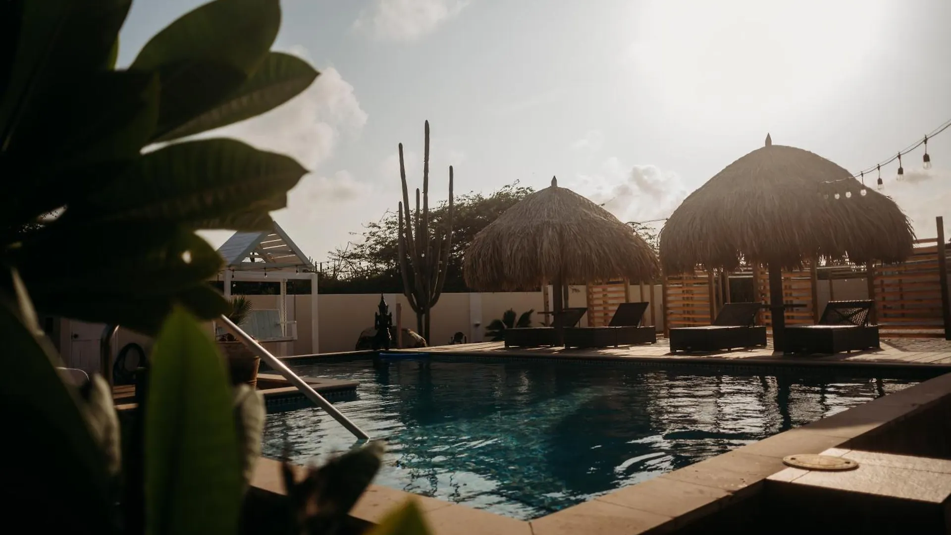 Pura Vida Aruba Appartement Cadushi Noord Aruba